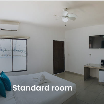 standard-room