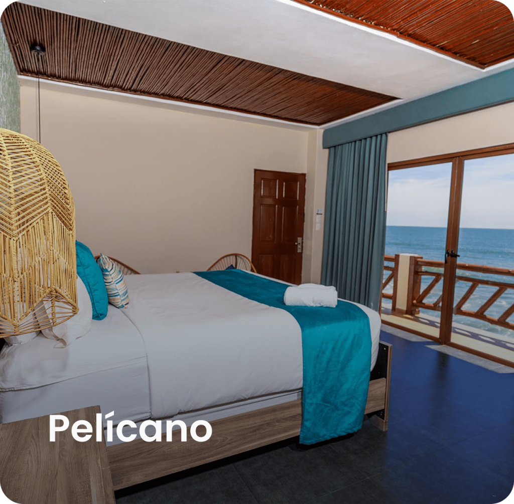 Pelicano-1