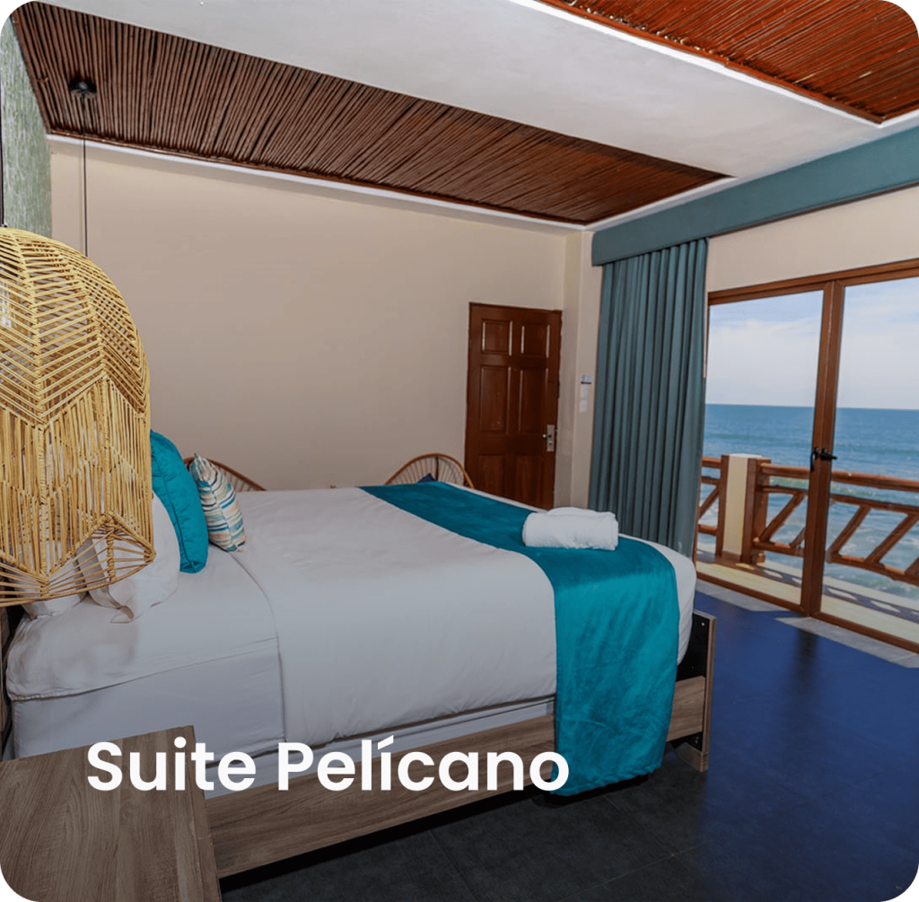Suite pelicano