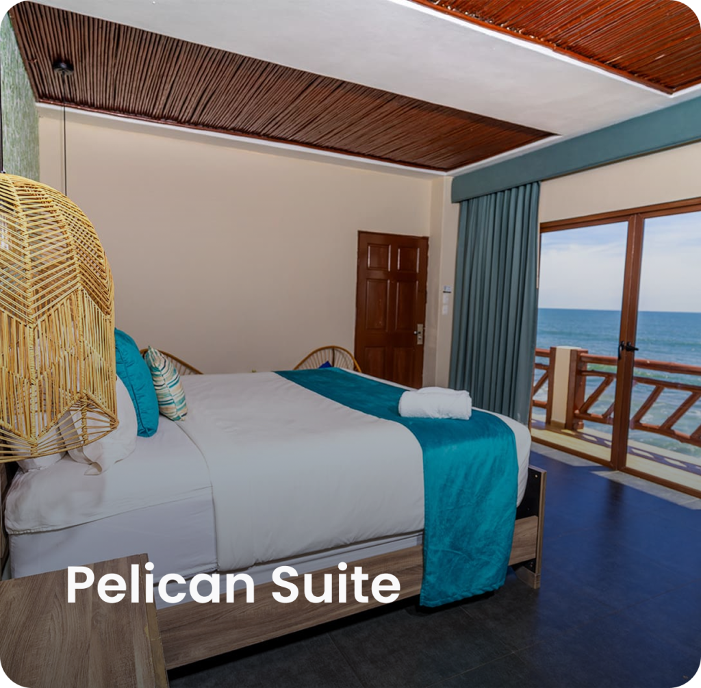 pelican suite - los farallones