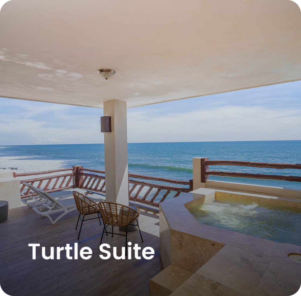 turtle suit - los farallones